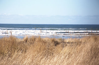 Scenic view of beach against sky