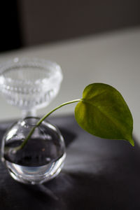 Close-up of glass on table