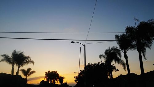 Low angle view of palm trees against sky