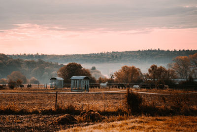 Scenic view of field against sky during sunset