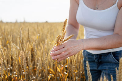 Closeup of mid adult woman walking on rye field enjoying nature holding rye spikes, copy space