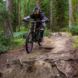 Man riding bicycle in forest