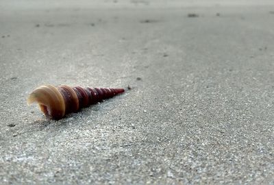 Close up of sand