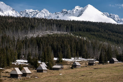 mountain