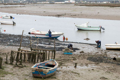 Boats moored on shore at beach