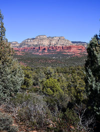 Scenic view of landscape against clear blue sky