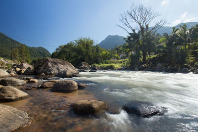 Stream flowing through rocks