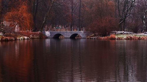 Bridge over river in forest