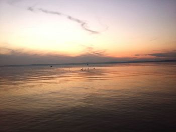 Scenic view of sea at sunset