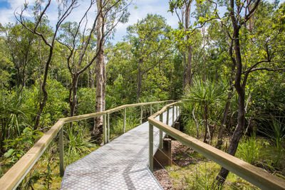 Footbridge amidst trees in forest