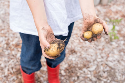 Low section of messy woman holding potatoes while standing on field