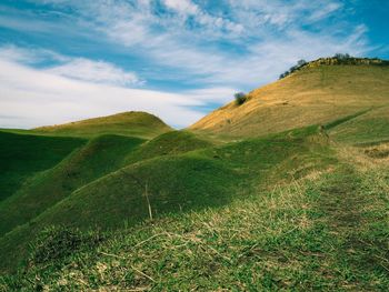 Scenic view of green landscape against sky