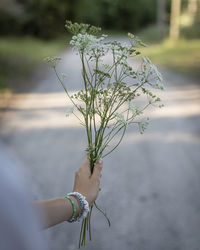 Midsection of woman holding flowering plant against blurred background