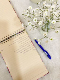 High angle view of white flower on table