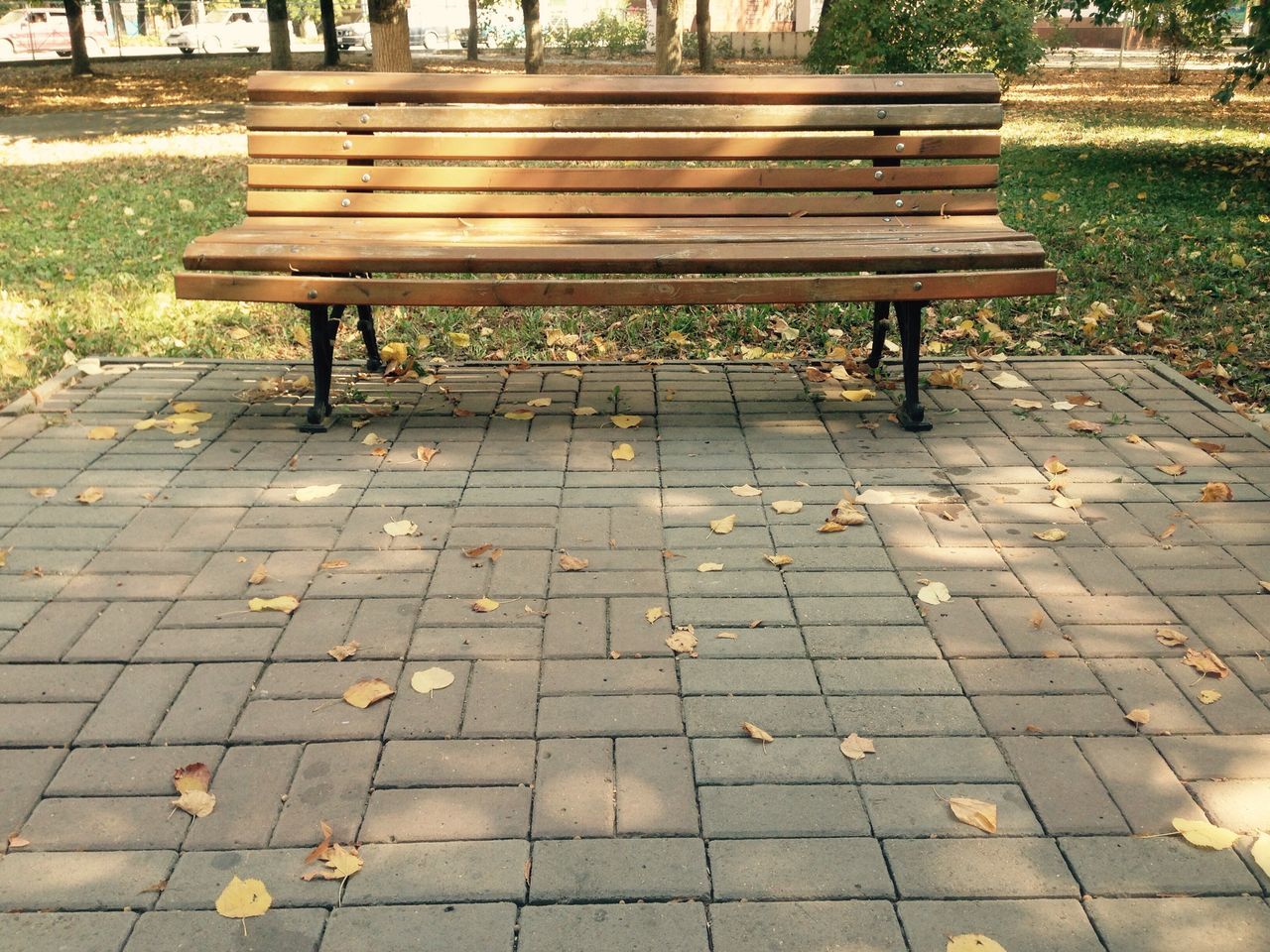 bench, no people, nature, day, outdoors