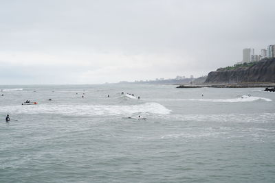 Birds swimming in sea against sky