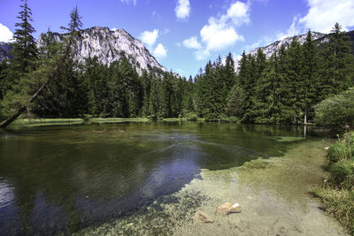 Scenic view of lake by trees against sky