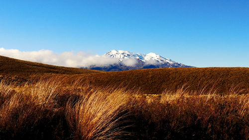 Scenic view of snowcapped mountains against blue sky