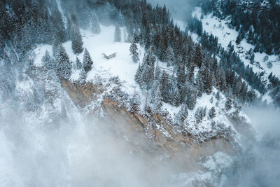 Aerial view of snow covered trees on field against sky