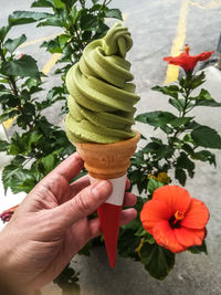 Matcha ice cream with flowers