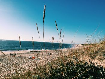 Scenic view of sea against clear blue sky