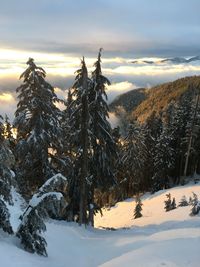 Scenic view of snow covered mountains against sky at sunset