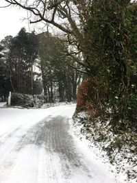 Road amidst trees against sky during winter