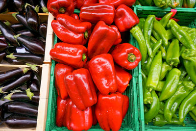 Red bell pepper and green chili in green plastic box, black violet eggplant fruit in wooden box