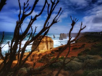 View of trees and sea against cloudy sky