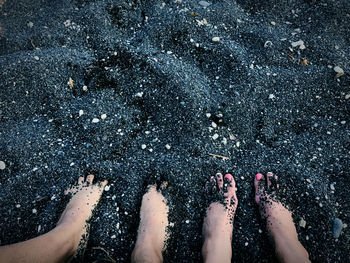 Low section of people on beach