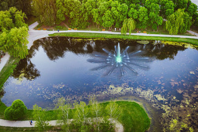 Reflection of trees in lake