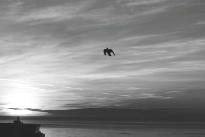 Silhouette bird flying over sea against sky