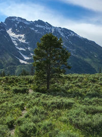 Scenic view of landscape and mountains against sky