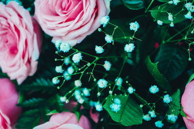 High angle view of rose bouquet