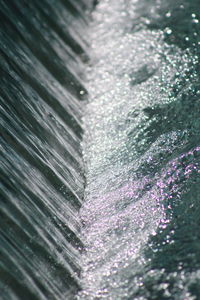 Close-up of wet leaf