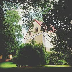 Building with trees in background