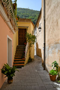 A street of maratea, a village of basilicata region in italy.