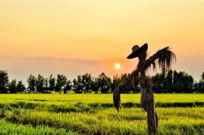 Scenic view of field against sky during sunset