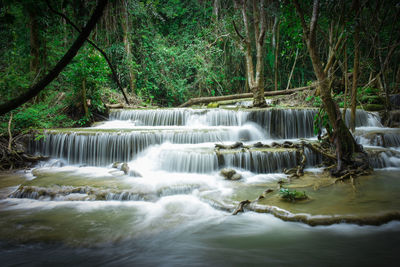 Scenic view of waterfall in forest