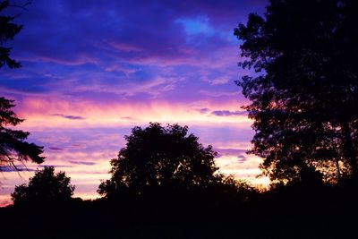 Low angle view of silhouette trees against sky at sunset