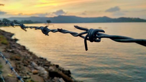 Close-up of chain on sea against sky during sunset