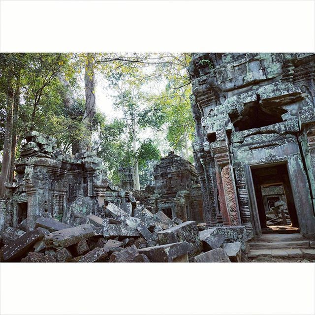 transfer print, architecture, built structure, building exterior, auto post production filter, history, old, old ruin, tree, the past, ancient, low angle view, clear sky, day, ruined, stone material, ancient civilization, stone wall, sky, religion