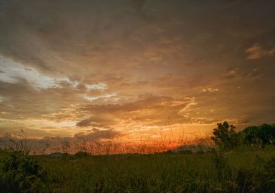 Scenic view of field against sky during sunset