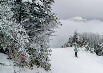 Scenic view of snow covered mountain