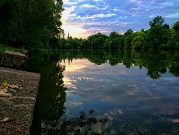 Reflection of trees in lake