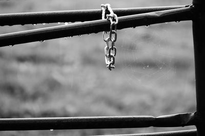 Close-up of metallic chain on fence