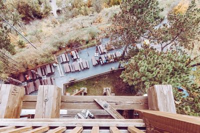 High angle view of trees