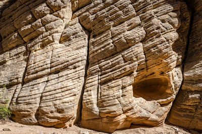 Full frame shot of firewood