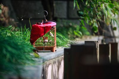 View of birdcage outdoors