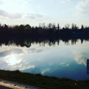 Reflection of trees in lake